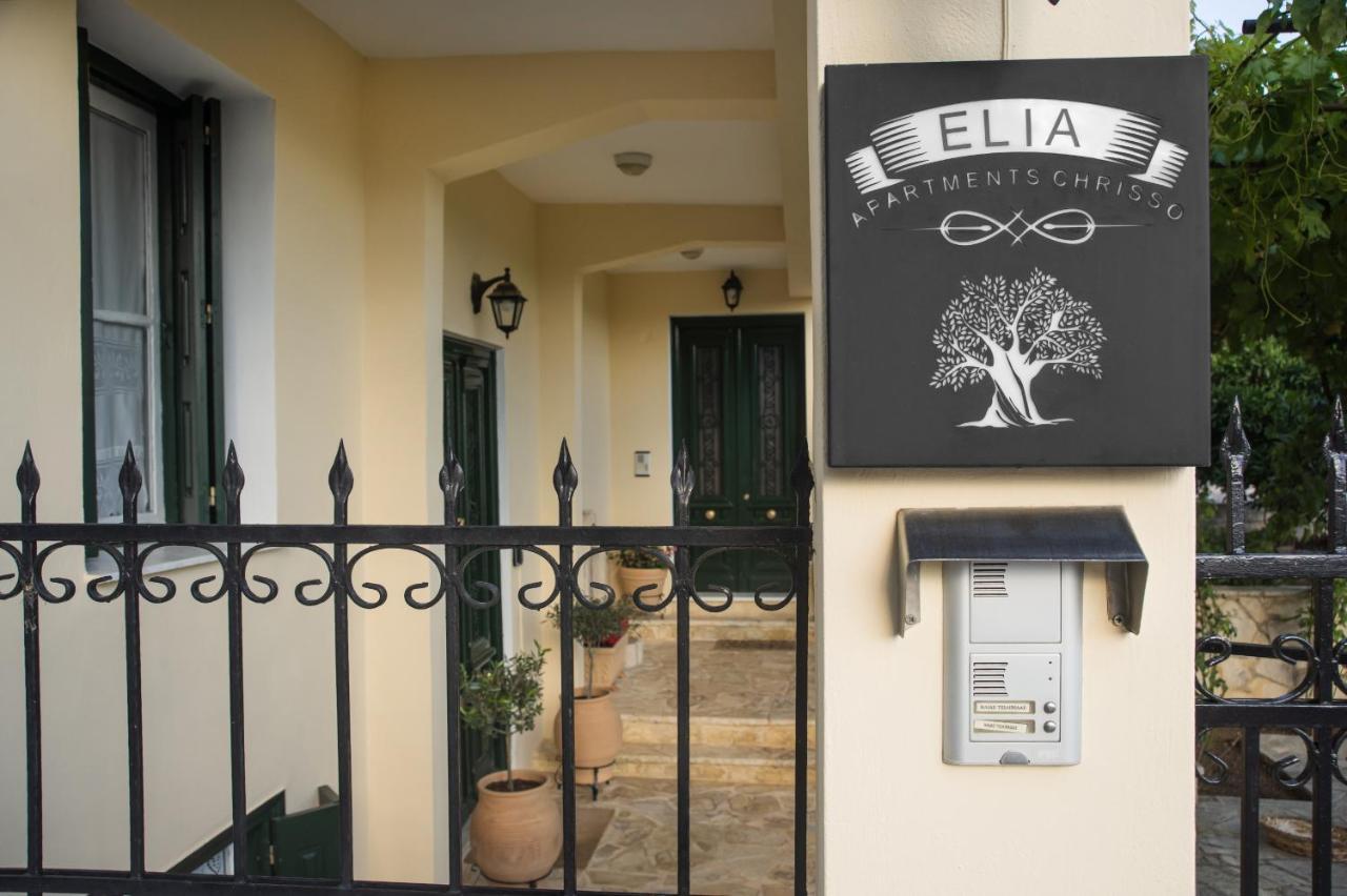 Elia Apartments Chrisso デルポイ エクステリア 写真